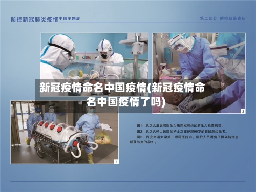 新冠疫情命名中国疫情(新冠疫情命名中国疫情了吗)