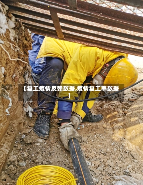 【复工疫情反弹数据,疫情复工率数据】-第2张图片