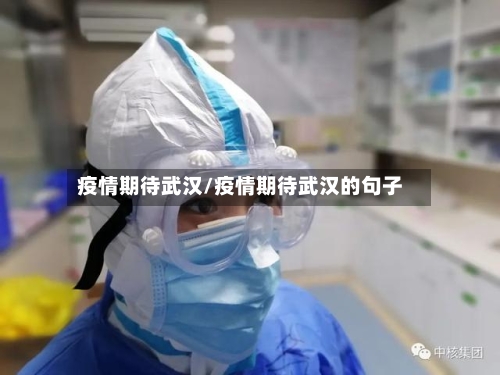 疫情期待武汉/疫情期待武汉的句子