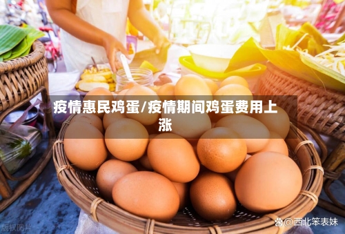 疫情惠民鸡蛋/疫情期间鸡蛋费用上涨-第2张图片