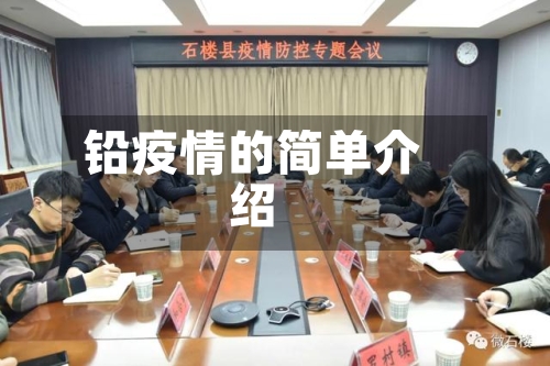 铅疫情的简单介绍