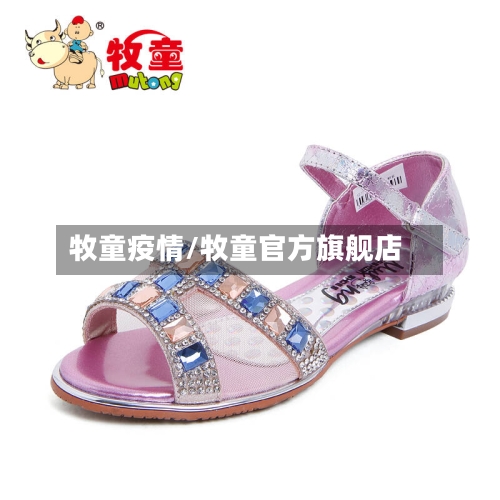 牧童疫情/牧童官方旗舰店-第3张图片