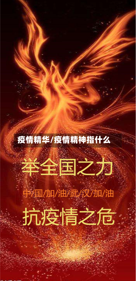 疫情精华/疫情精神指什么